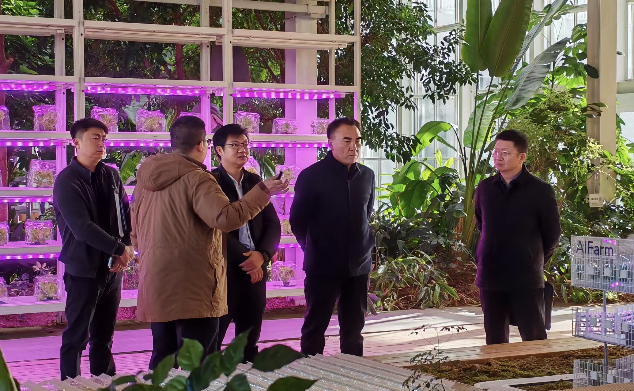 1763716462587033.jpg 1763716462587033.jpg